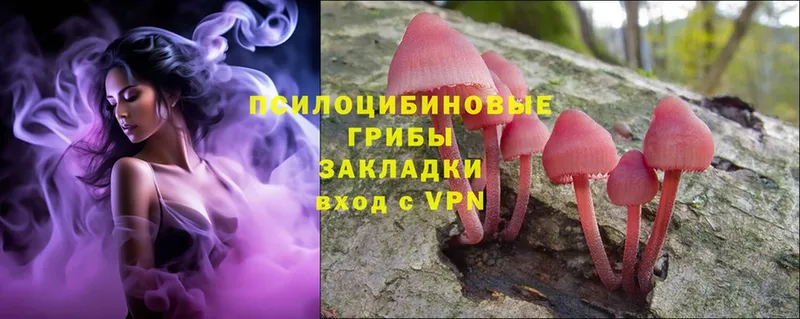 Псилоцибиновые грибы Cubensis  Нарткала 